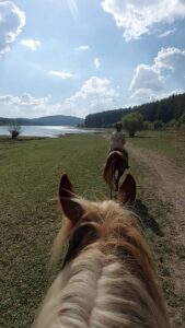 красотата на Боснек